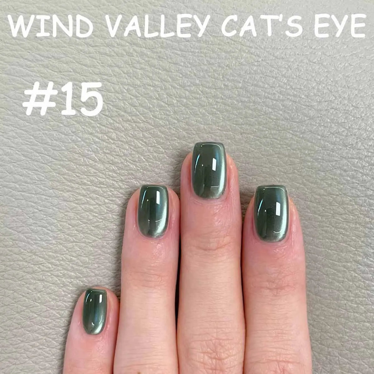 MN 2026 Valley of Wind Cat Eye Gel Nail Polish Icy Blue Pink Tone with Glass Beads Satin Porcelain White Fine Magnetic Powder