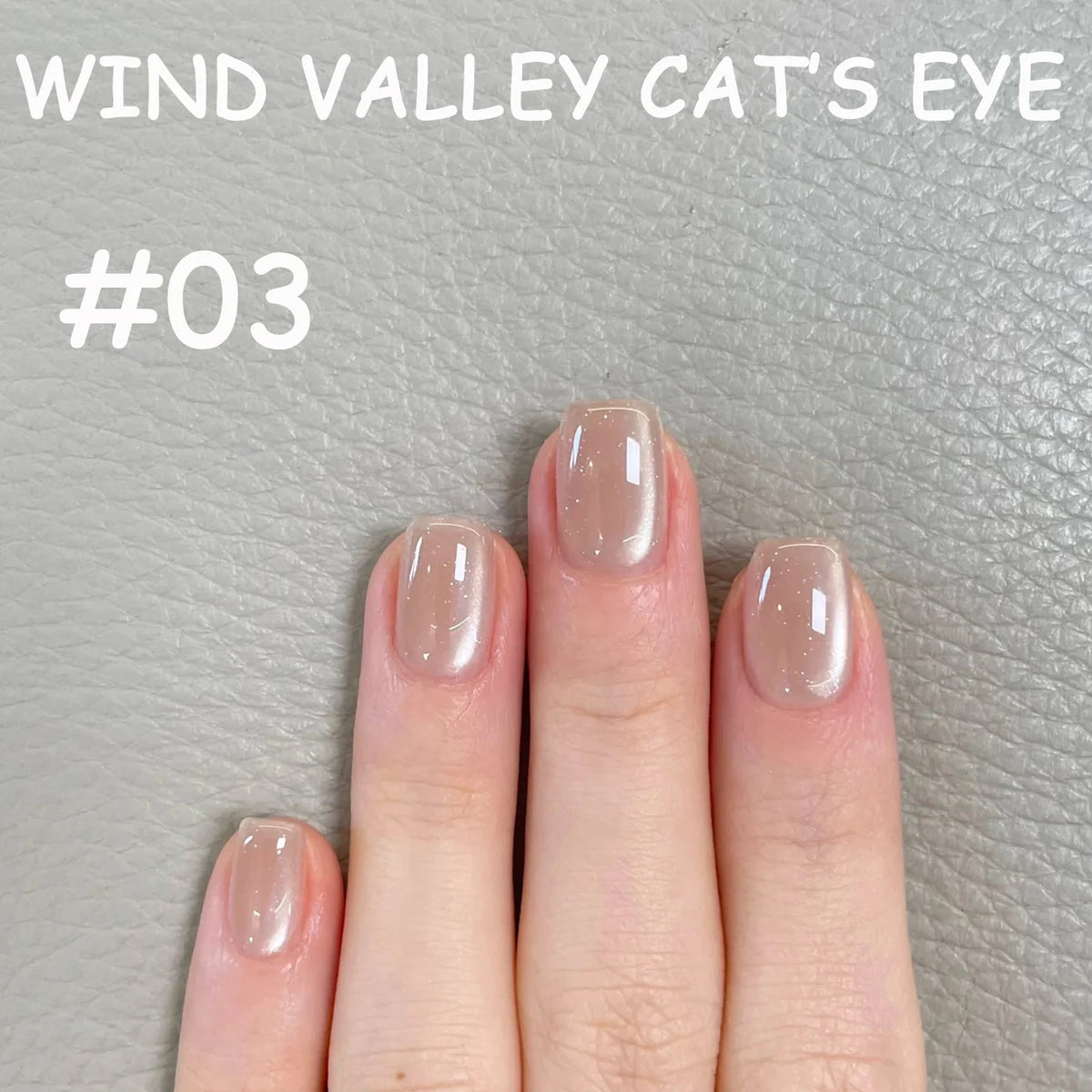 MN 2026 Valley of Wind Cat Eye Gel Nail Polish Icy Blue Pink Tone with Glass Beads Satin Porcelain White Fine Magnetic Powder