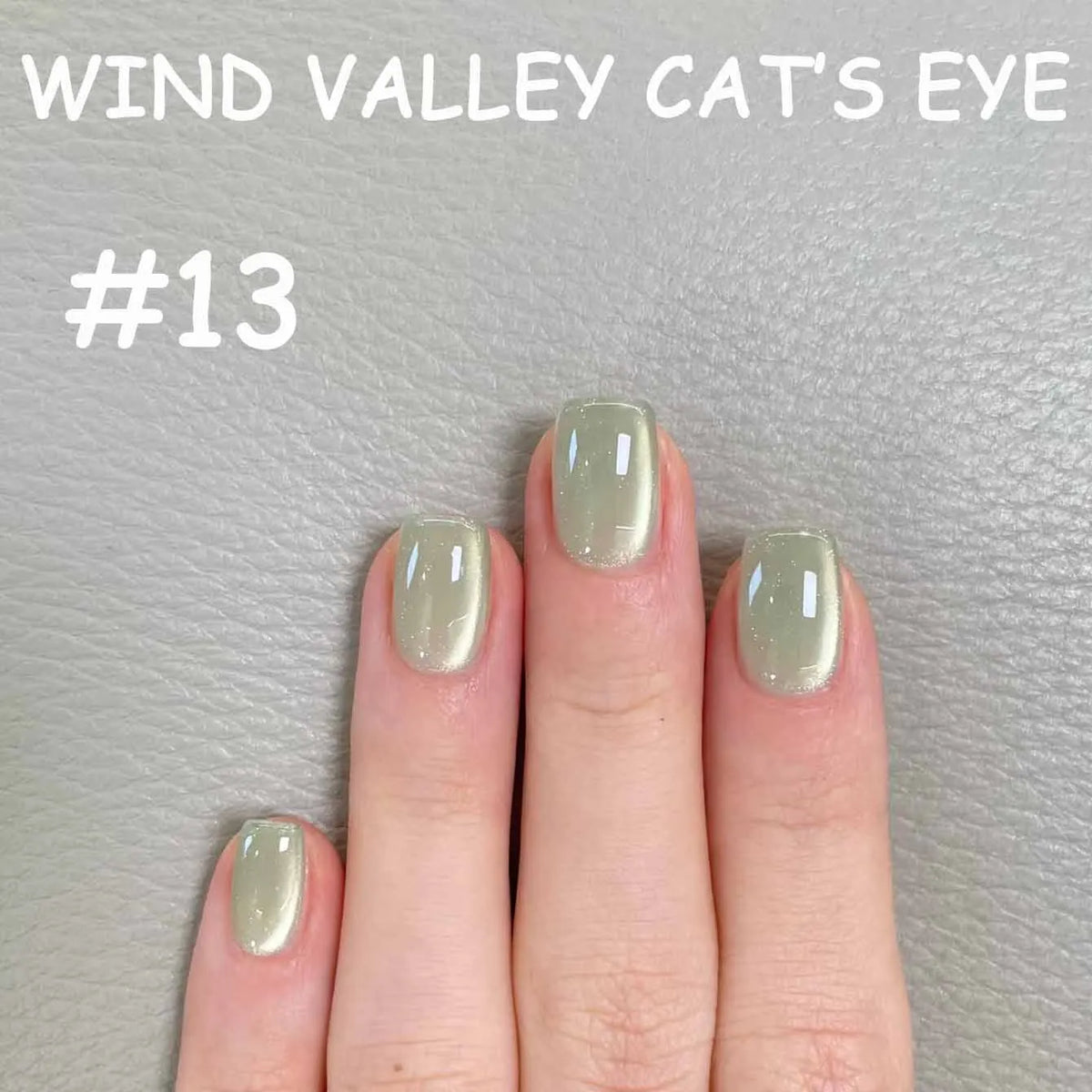 MN 2026 Valley of Wind Cat Eye Gel Nail Polish Icy Blue Pink Tone with Glass Beads Satin Porcelain White Fine Magnetic Powder