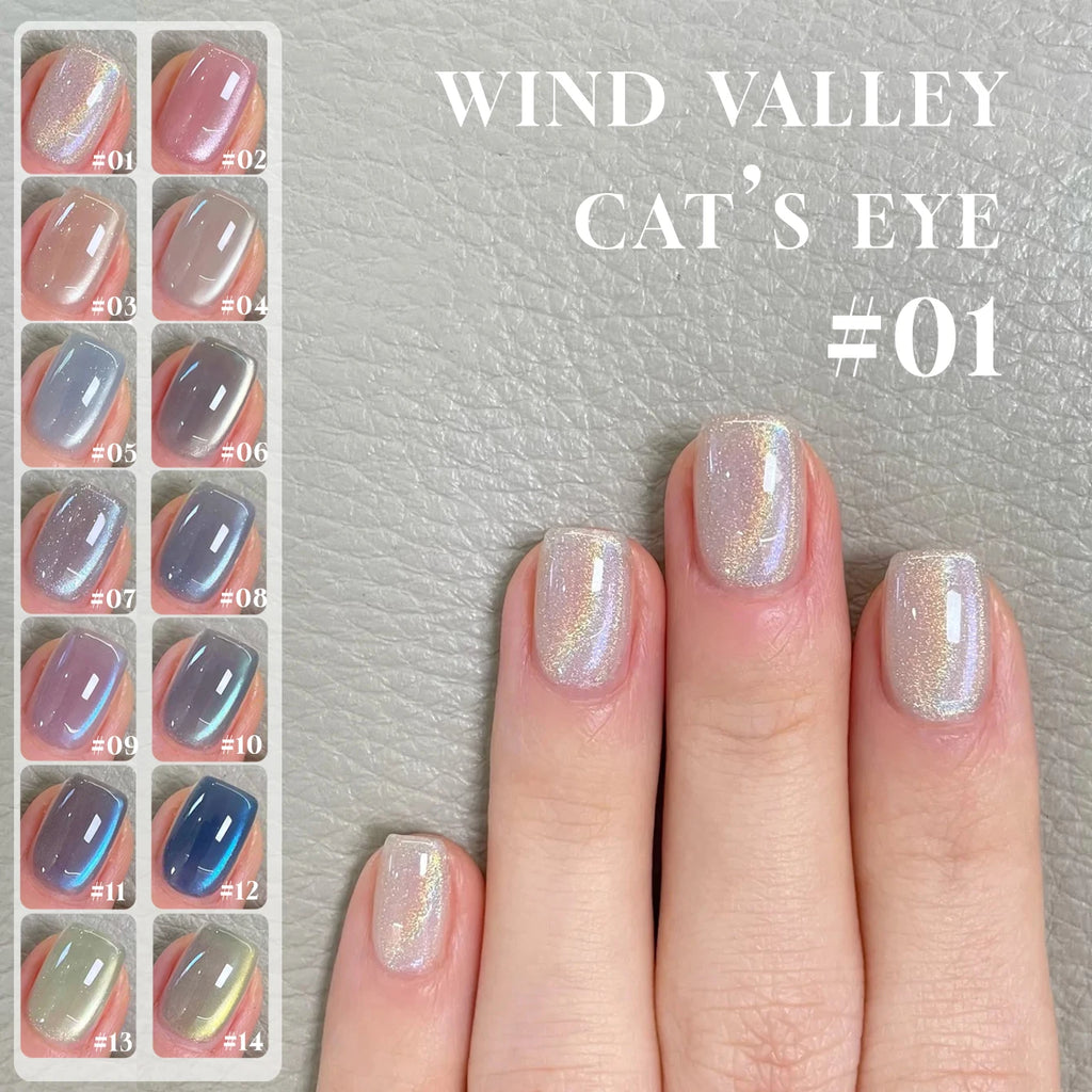 MN 2026 Valley of Wind Cat Eye Gel Nail Polish Icy Blue Pink Tone with Glass Beads Satin Porcelain White Fine Magnetic Powder