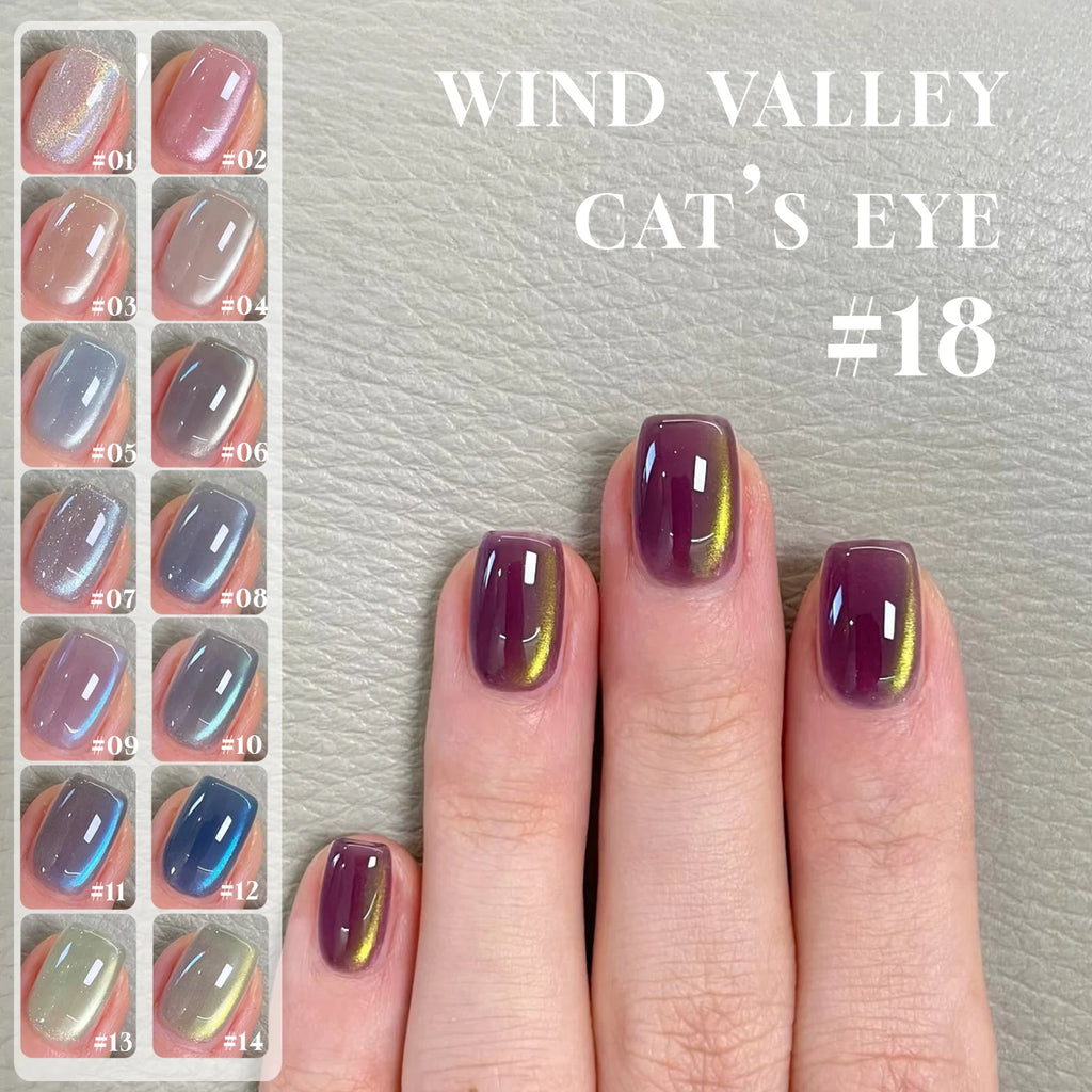 MN 2026 Valley of Wind Cat Eye Gel Nail Polish Icy Blue Pink Tone with Glass Beads Satin Porcelain White Fine Magnetic Powder
