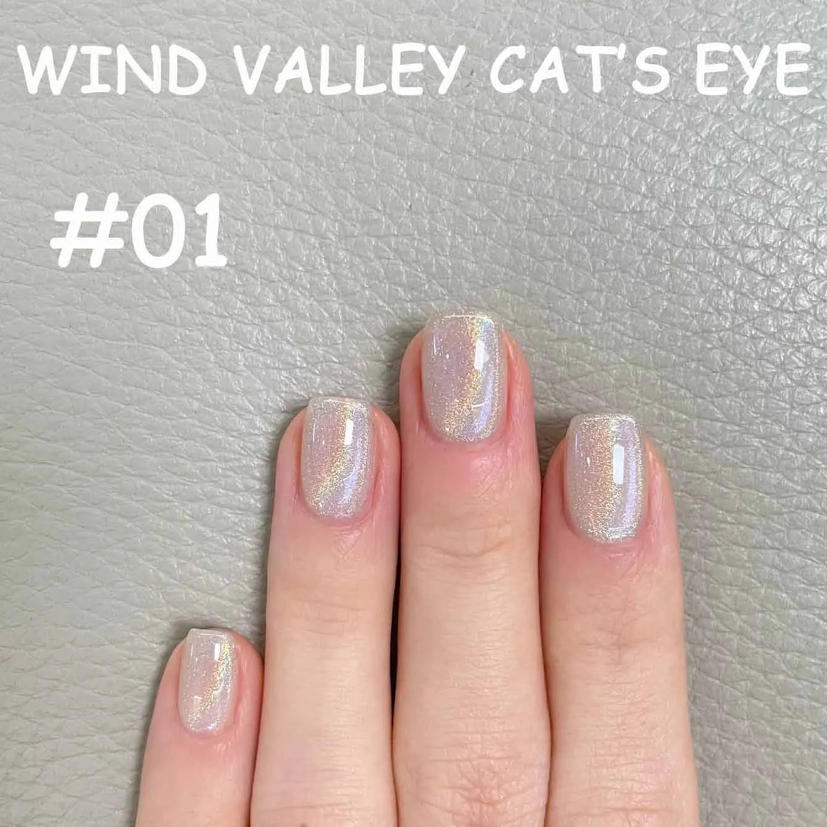 MN 2026 Valley of Wind Cat Eye Gel Nail Polish Icy Blue Pink Tone with Glass Beads Satin Porcelain White Fine Magnetic Powder