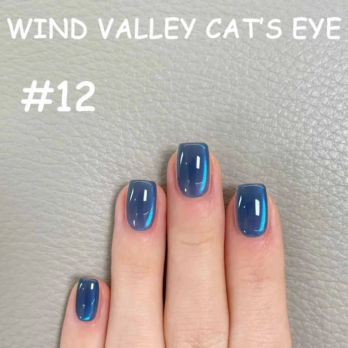 MN 2026 Valley of Wind Cat Eye Gel Nail Polish Icy Blue Pink Tone with Glass Beads Satin Porcelain White Fine Magnetic Powder