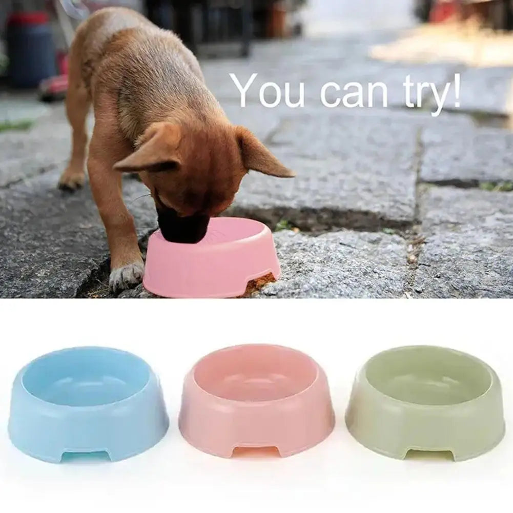 Pet Supplies Candy Colored Plastic Dog Bowl Cat Bowl Pet Cat Tableware Single Small
