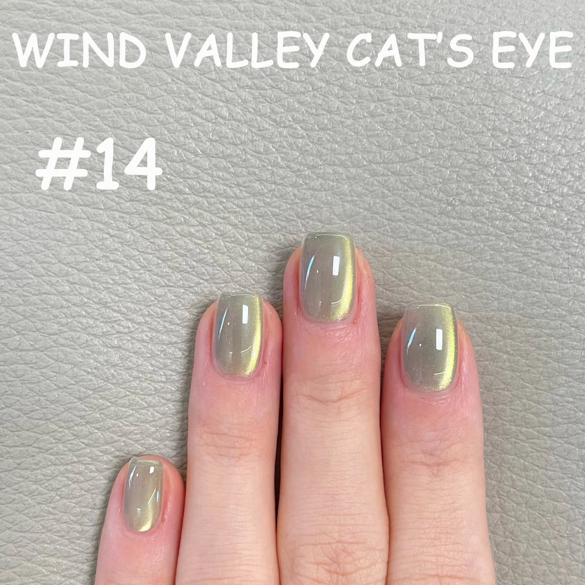 MN 2026 Valley of Wind Cat Eye Gel Nail Polish Icy Blue Pink Tone with Glass Beads Satin Porcelain White Fine Magnetic Powder