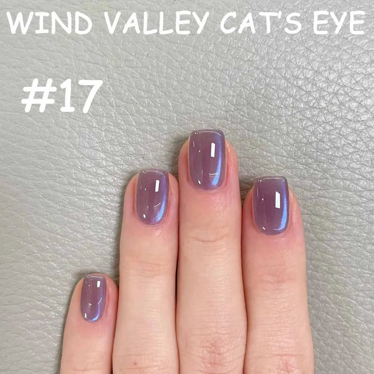 MN 2026 Valley of Wind Cat Eye Gel Nail Polish Icy Blue Pink Tone with Glass Beads Satin Porcelain White Fine Magnetic Powder